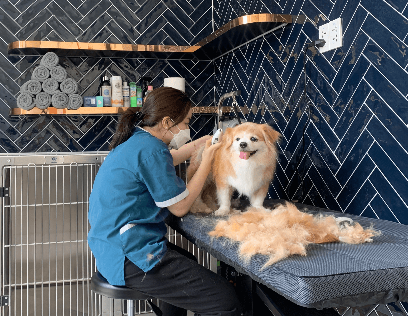 Grooming
